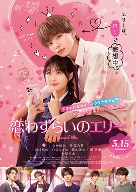 fsdss-065